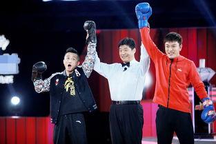 邹市明娱乐圈,从拳坛明星到影视新秀的华丽转身