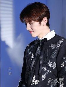 偶像练习生背景资料,青春追梦，逐梦舞台的青春偶像成长记