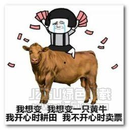 绿色变身表情包图片