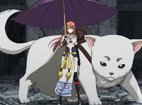 银魂超级搞笑集数,笑破天际的搞笑巅峰集数大盘点